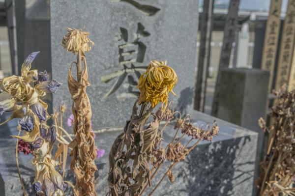 ［ コラム ］墓じまい<br>墓じまいは勇気ある決断