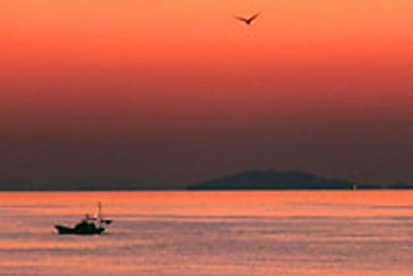 ［ コラム ］散骨<br>散骨の旅　体験談　第三話 「水平線に沈む夕陽」