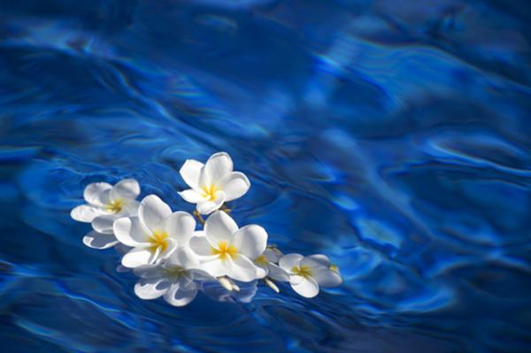 Q．初めて散骨をしますので、ルールやマナー以外にも注意点などあれば教えてください。