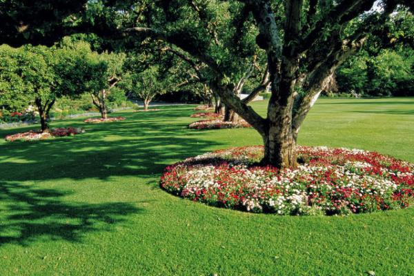 ［ Q＆A ］<br>自然葬を考えていますが、費用負担の少ない方法があれば教えてください。