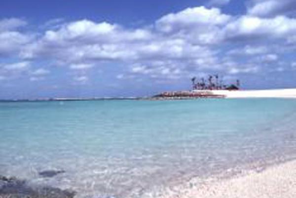 ［ 情報室 ］<br>散骨に関する留意事項とは、<br>（東京都福祉保健局より参照）