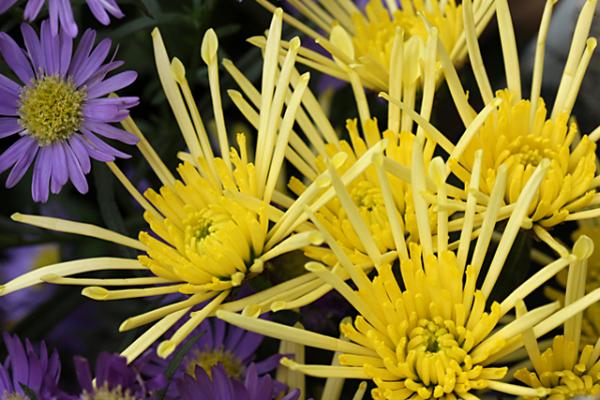 Q．骨壺が大きすぎて納骨堂に入りません。粉骨して、小さなお骨壺に納め直してもらえますか？