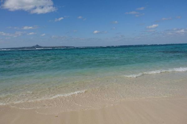 [ 情報室 ]散骨<br>散骨された国内の主な有名人