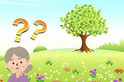 散骨供養　知っておきたい散骨の知識（仕方・方法）