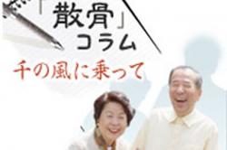 散骨コラムのページを一新しました