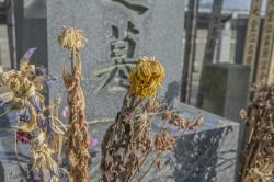 墓じまいは勇気ある決断