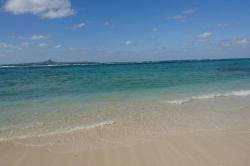 散骨された国内の主な有名人