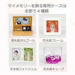 姉妹サイト手元供養墓「マイメモリー」専用ケース価格改定のご案内
