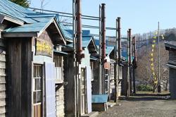 最愛の家族のご遺骨を目の当たりにして…