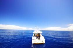 戒名も要らない散骨して誰にも知らせるな　Part2