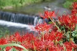 改葬とは、何ですか？また、その手続きはどんなものですか？