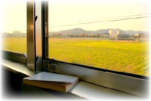 自分で行う散骨の旅